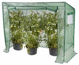 Tomaten Gewächshaus Angebote bei OBI Arnsberg für 29,99 €