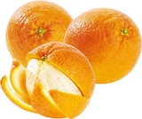 Orangen bei EDEKA im Westerkappeln Prospekt für 1,99 €