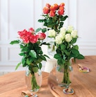 Bouquet de 7 roses africado - Super U à Nanterre Bouquet de 7 roses africado en promo chez Super U Nanterre à 6,99 €