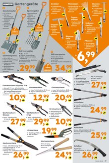 Blumen im Globus-Baumarkt Prospekt "Immer eine Idee besser" mit 28 Seiten (Ulm)