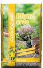 Aktuelle Pflanzenerde Angebote bei Thomas Philipps in Wuppertal Aktuelles Pflanzerde Angebot bei Thomas Philipps in Wuppertal ab 3,79 €
