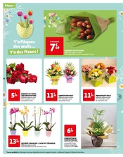 Promos Fleur En Pot dans le catalogue "Y'a Pâques des oeufs…Y'a des surprises !" de Auchan Hypermarché à la page 16