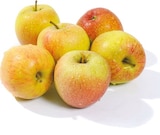 Braeburn Angebot in Grünheide Braeburn im aktuellen Prospekt bei Netto mit dem Scottie in Grünheide