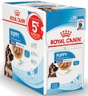 Maxi pack Puppy pour chiot - ROYAL CANIN à 19,90 € dans le catalogue Maxi Zoo
