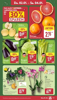 Orchidee Angebot im aktuellen ALDI Nord Prospekt auf Seite 29