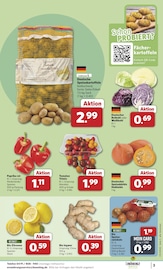 Aktueller combi Prospekt mit Kürbis, "Markt - Angebote", Seite 3