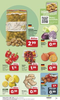 Paprika im aktuellen combi Prospekt (Paderborn) Paprika im combi Prospekt "Markt - Angebote" mit 26 Seiten (Paderborn)