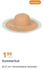 Sommerhut im Angebot bei Action in Peine Sommerhut Angebote bei Action Peine für 1,99 €