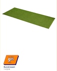 Kunstrasen Angebote bei Action Aschaffenburg für 9,95 €