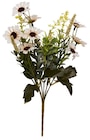 Kleiner Strauß Chrysanthemum bei Rusta im Schwentinental Prospekt für 1,00 €