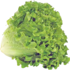 Gentile Salat von  im aktuellen V-Markt Prospekt für 0,89 €