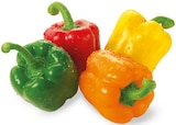 Paprika bei REWE im Puchheim Prospekt für 3,79 €