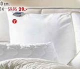 Kopfkissen „Pico“ im Möbel Mahler Siebenlehn Prospekt Kopfkissen „Pico“ von im aktuellen Möbel Mahler Siebenlehn Prospekt für 29,00 €