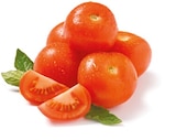 Tomaten bei Netto mit dem Scottie im Dessau-Roßlau Prospekt für 1,39 €