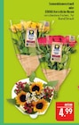 Angebot im Marktkauf Naundorf Prospekt Marktkauf Naundorf Prospekt mit im Angebot für 4,99 €