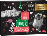 Adventskalender im Penny Prospekt Adventskalender von Lucky Cat im aktuellen Penny Prospekt für 4,99 €