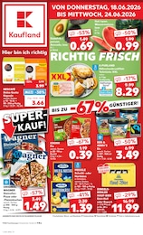 Aktueller Kaufland Prospekt (Dinkelsbühl) Kaufland Prospekt mit 56 Seiten (Dinkelsbühl)