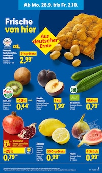 Äpfel im Lidl Prospekt "LIDL LOHNT SICH" mit 73 Seiten (Münster)