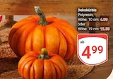 Dekokürbis Angebote bei GLOBUS Bochum für 4,99 €