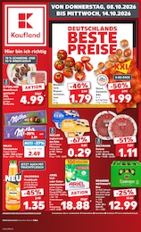 Kaufland Prospekt für Mitterteich mit 70 Seiten Kaufland Prospekt für Mitterteich: "Hier bin ich richtig", 70 Seiten, 08.10.2026 - 14.10.2026