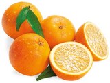 Orangen im aktuellen REWE Prospekt