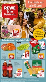 Ähnliche Angebote wie Sinalco Cola-Mix im Prospekt "Dein Markt" auf Seite 1 von REWE in Leipzig