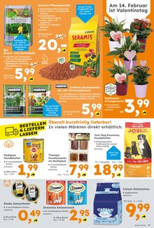 Katzenstreu im Globus-Baumarkt Prospekt "Immer eine Idee besser" mit 13 Seiten (Halle (Saale))