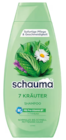 Shampoo bei REWE im Pulheim Prospekt für 1,69 €