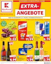 Aktueller Kaufland Supermarkt Prospekt in Neckarwestheim und Umgebung, "EXTRA-ANGEBOTE" mit 8 Seiten, 04.09.2025 - 10.09.2025
