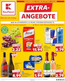 Aktueller Kaufland Prospekt (Backnang, 8 Seiten zum blättern Kaufland Prospekt EXTRA-ANGEBOTE mit 8 Seiten