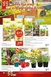 Gartenerde im Hellweg Prospekt in Dülmen Aktueller Hellweg Prospekt mit Gartenerde, "Lieblingsplatz", Seite 14