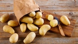 Speisekartoffeln »Die Feinen« im Angebot bei nahkauf in Celle Speisekartoffeln »Die Feinen« Angebote von REWE Beste Wahl bei nahkauf Celle für 1,99 €
