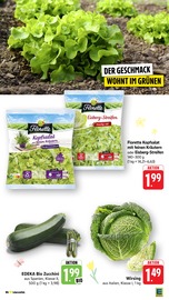 Zucchini im EDEKA Prospekt in Freiburg Aktueller EDEKA Prospekt mit Zucchini, "Aktuelle Angebote", Seite 5