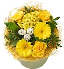 Aktuelle Blumen Angebote bei Penny in Wuppertal Aktuelles Strauß Osternest Angebot bei Penny in Wuppertal ab 9,99 €