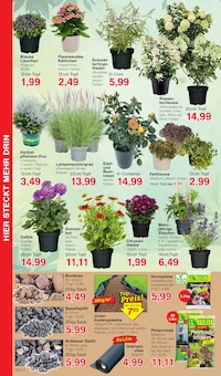 Unkrautvlies Angebot im aktuellen Jawoll Prospekt auf Seite 8