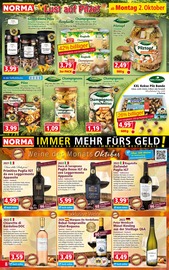 Ähnliche China Böller Angebote im Prospekt "Mehr fürs Geld" von Norma Ähnliches Angebot bei Norma in Prospekt "Mehr fürs Geld" gefunden auf Seite 8