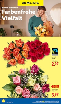 Blumen im aktuellen Lidl Prospekt (Reutlingen) Blumen im Lidl Prospekt "LIDL LOHNT SICH" mit 70 Seiten (Reutlingen)