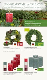 Pflanzen Kölle Stumpenkerzen im Prospekt Pflanzen Kölle Stumpenkerzen im Prospekt