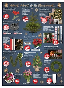 Pflanzen Angebot im aktuellen V-Markt Prospekt auf Seite 18