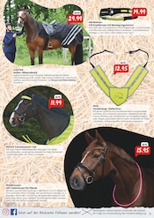 Tierfutter im Raiffeisen Rhein-Ahr-Eifel Handelsgesellschaft mbH Prospekt in Niederkassel Aktueller Raiffeisen Rhein-Ahr-Eifel Handelsgesellschaft mbH Prospekt mit Tierfutter, "Natürliche Energie für ein gutes Gefühl!", Seite 5