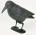 Aktuelles Taubenschreck Rabe Angebot bei Zimmermann in Bremen ab 1,99 €