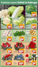 Aktueller REWE Prospekt mit Dekoration, "Dein Markt", Seite 9
