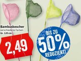 Bambuskescher Angebote bei Kaufhaus Stolz Cuxhaven für 2,49 €