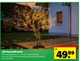 LED-Baumsilhouette von  im aktuellen Hagebaumarkt Prospekt für 49,99 €