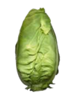 Spitzkohl im Angebot bei EDEKA in Wismar Spitzkohl Angebote bei EDEKA Wismar für 1,29 €