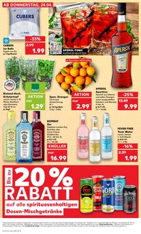 Jack Daniels im Kaufland Prospekt "RICHTIG GRILLEN - RICHTIG GÜNSTIG" mit 8 Seiten (Albstadt)