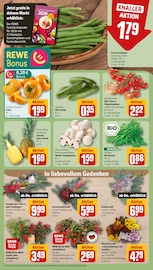 Pflanzen im REWE Prospekt in Sindelfingen Aktueller REWE Prospekt mit Pflanzen, "Dein Markt", Seite 9