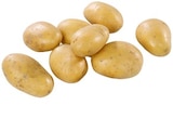 Kaufland Eichenau - Speisekartoffeln, Früchte von Dahoam aus Kühbach Angebot im Prospekt Speisekartoffeln, Früchte von Dahoam aus Kühbach bei Kaufland im Eichenau Prospekt für 2,79 €