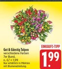 Aktuelles Tulpen Angebot bei EDEKA in Jena ab 1,99 €