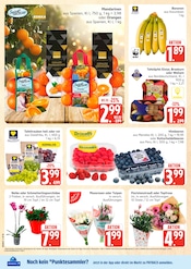 Aktueller Marktkauf Prospekt mit Blumen, "Top Angebote", Seite 8